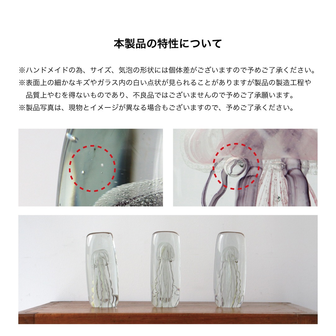 ジェリーフィッシュ ツイストレッグ 