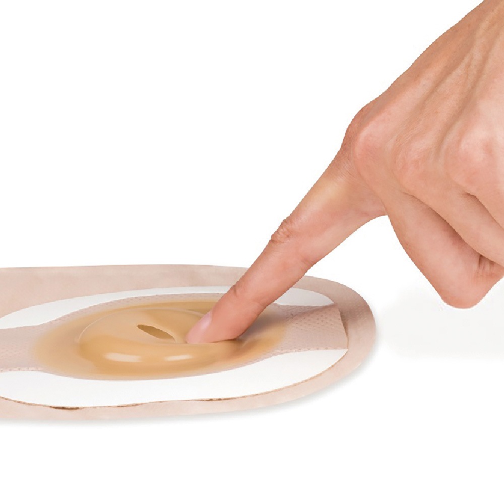 やわぴた | Hollisterサンプル請求サイト