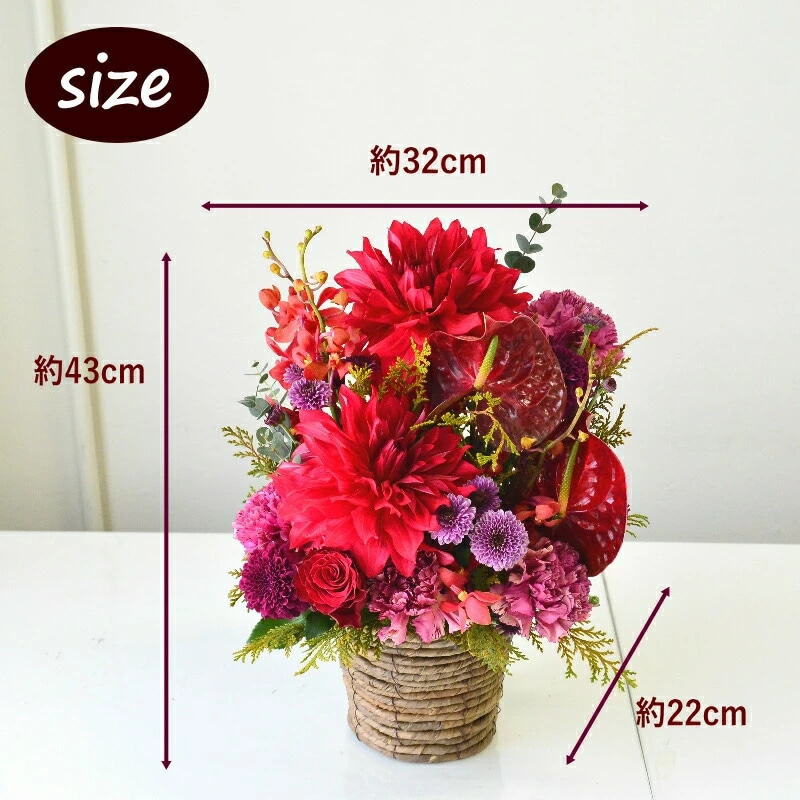 Omakase_ Dahlia garnet 04 ～ おまかせ ダリアガーネット 04