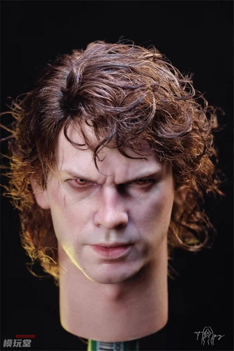 予約 Toopy Studios 1/6 アナキン スカイウォーカー ＆ ダース