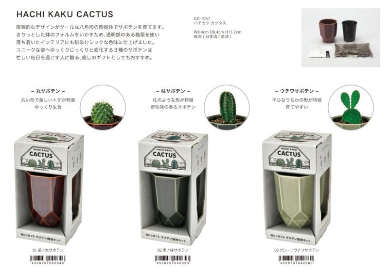 栽培セット」ハチカク カクタス（18個入） | その他（Other） | TOYS