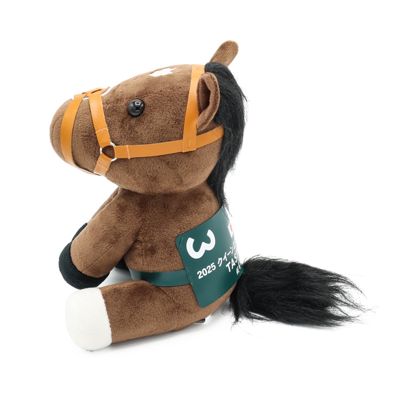 アイドルホース【タスティエーラ/'25クイーンエリザベス2世カップ】(M