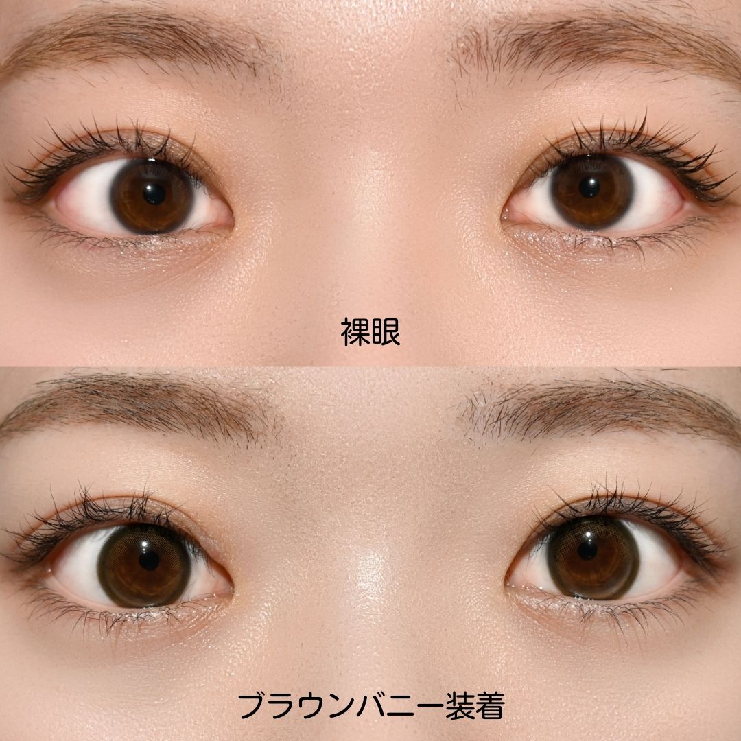 モラク ワンデー ブラウンバニー 10枚入り | Type,ワンデー | Wlens