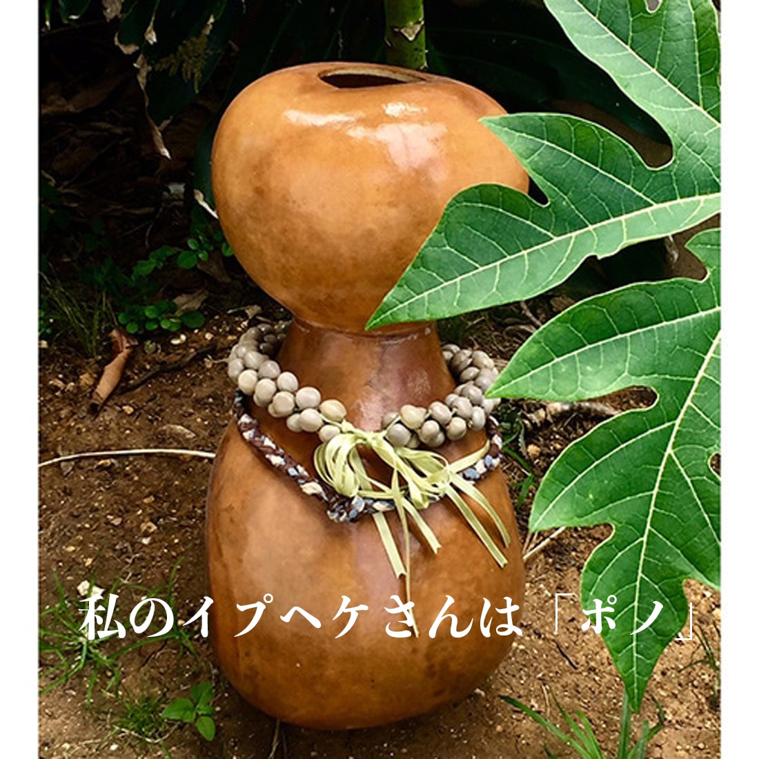 イプヘケ 高さ45cm前後 胴回り60cm前後 Ipu heke【アロハギフトのフラ