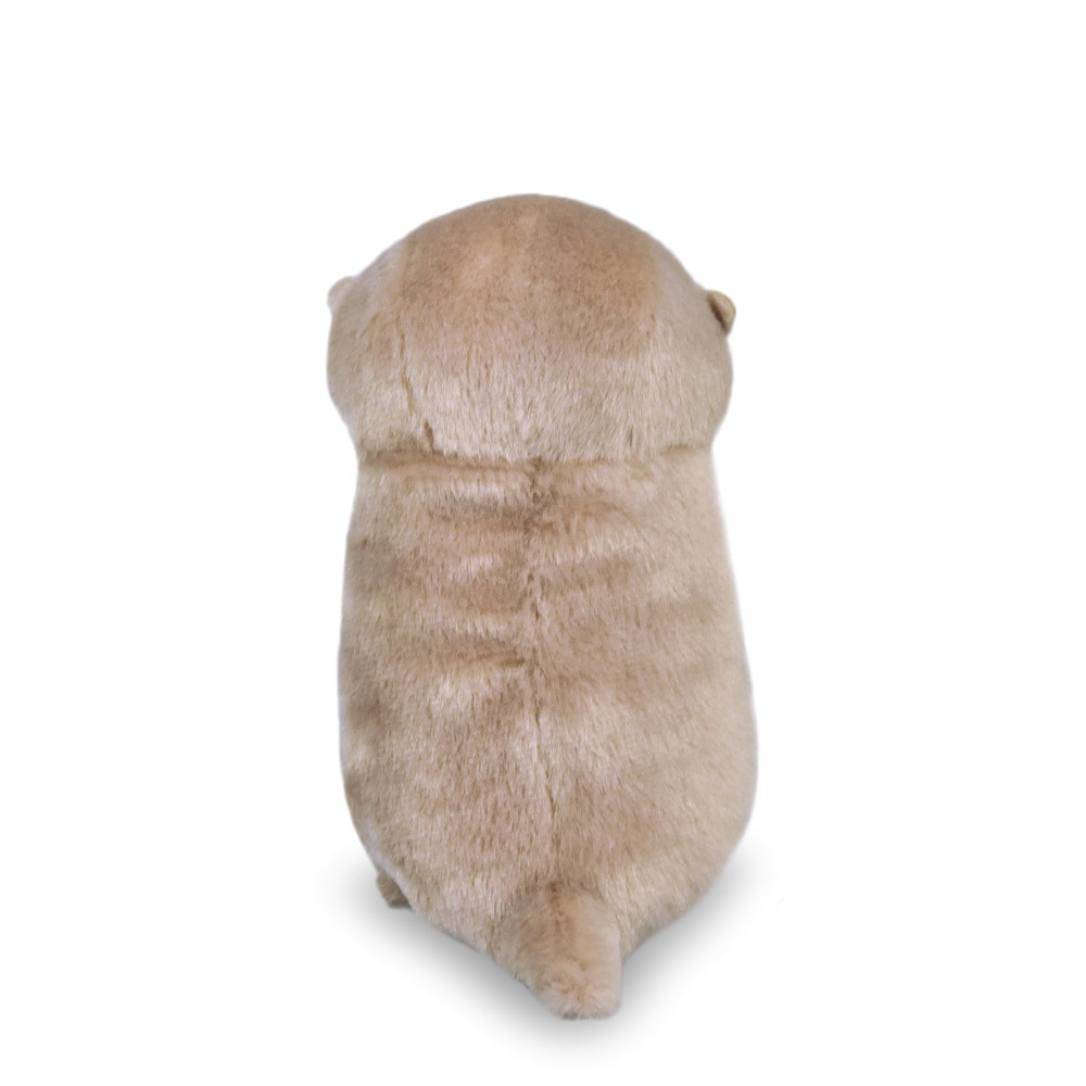 3月下旬入荷予定】カワウソうそやんST うそやん/Kawauso Usoyan ST