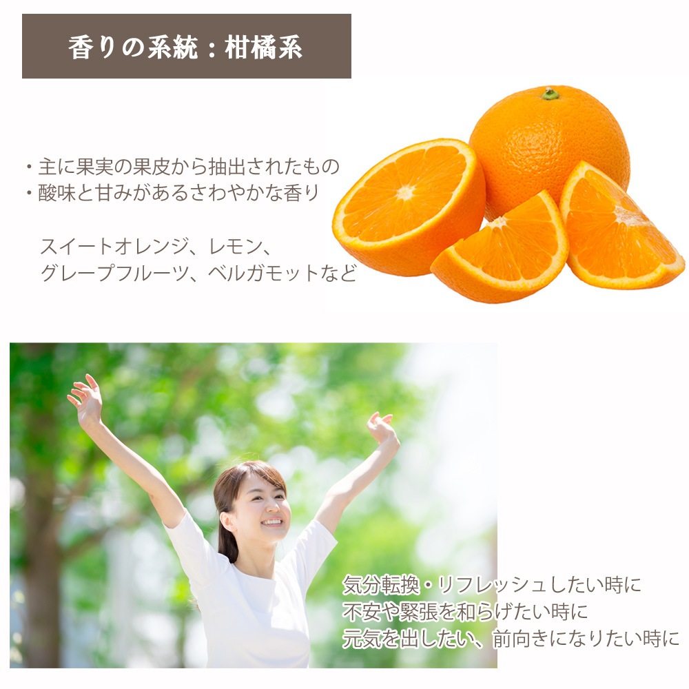 精油の安全性ガイド第2版 PINコード未使用 精油の安全性ガイド 第2版