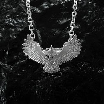 T-25d（allSV） | ペンダントトップ,イーグル | ARIZONA FREEDOM