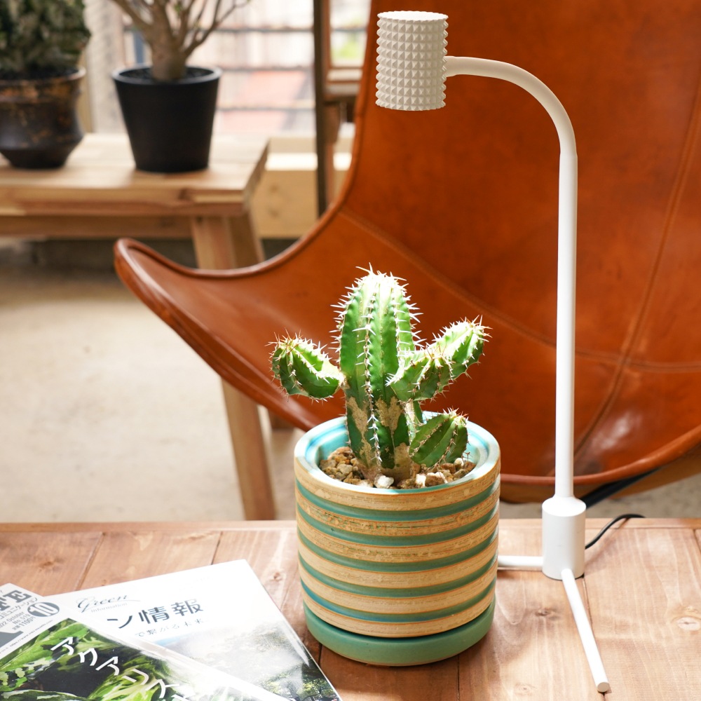 植物育成ライト専門店BARREL｜【Yew-7W】電球E26