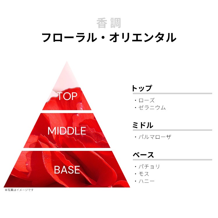 セルジュ ルタンス ラフィーユドゥベルラン EDP・SP 50ml 送料無料