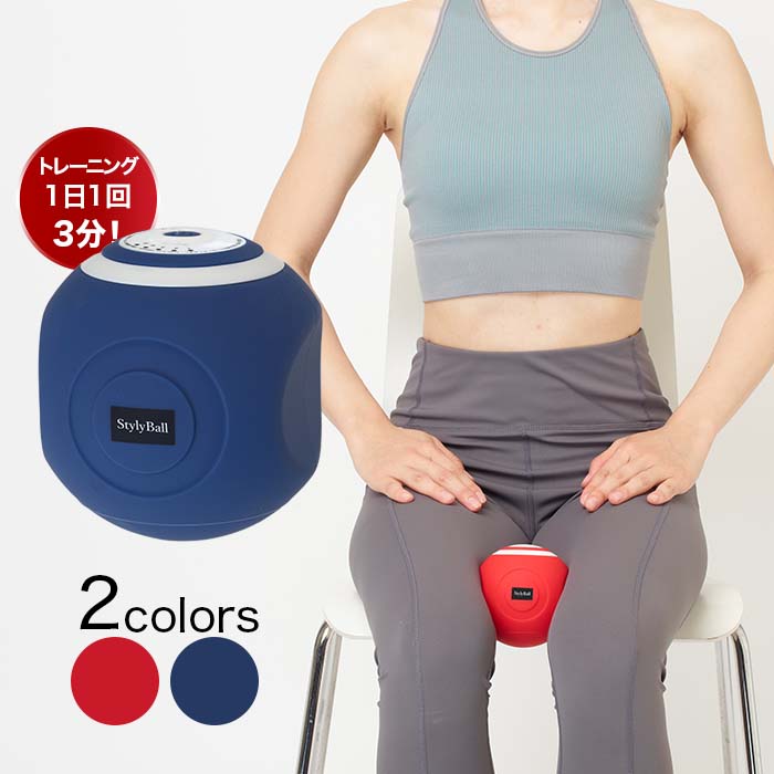 フィットネスクラブがつくったスタイリーボール | ジャンルで探す,健康