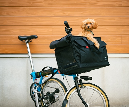 Roll Top Waterproof Bag 25L Navy | ブランドで選ぶ,BROMPTON