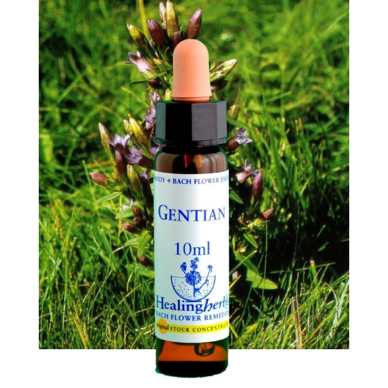 フラワーエッセンス 08 ゲンチアナ [ヒーリングハーブス] | カリス成城