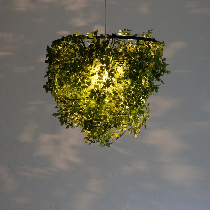 公式】ディクラッセ オンラインショップ｜DI CLASSE ONLINE SHOP