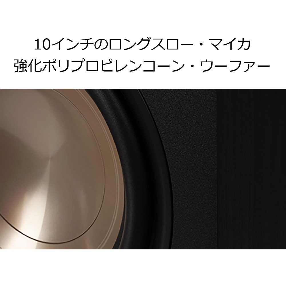 Polk Audio - ES10 SUBWOOFER/ブラック ES10SW（1台）サブウーファー