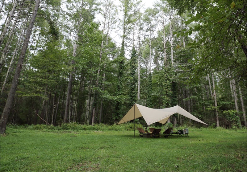 ZANE ARTS】GEU | RECOMMEND | ELNEST ONLINE