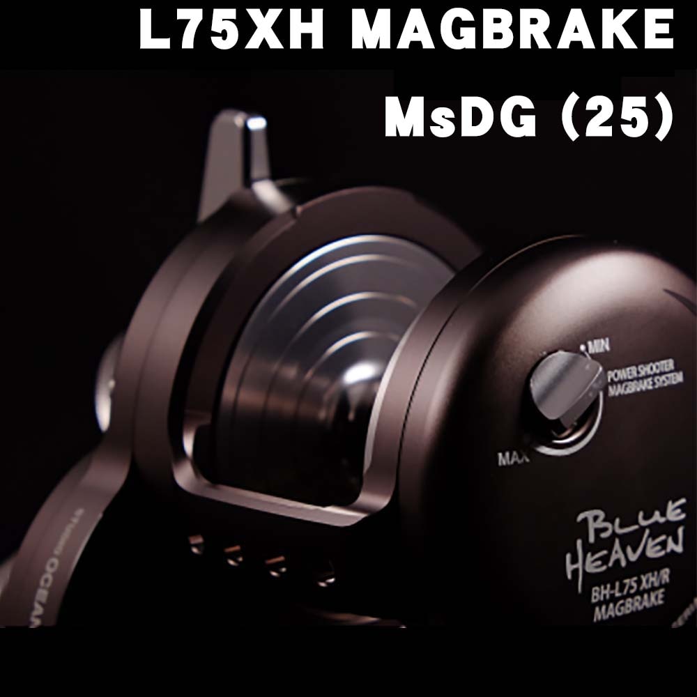 スタジオオーシャンマーク ブルーヘブンL120N-Hi（16）通販｜釣具通販