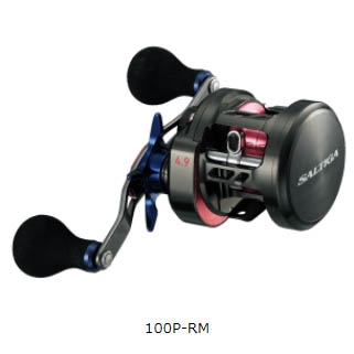 ダイワ 17ソルティガ BJ200H/BJ200HL通販｜釣具通販 いのまた釣具店