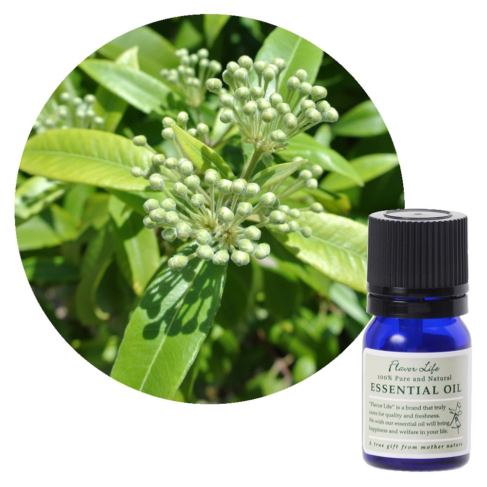 フレーバーライフ】レモンマートル｜エッセンシャルオイル（精油