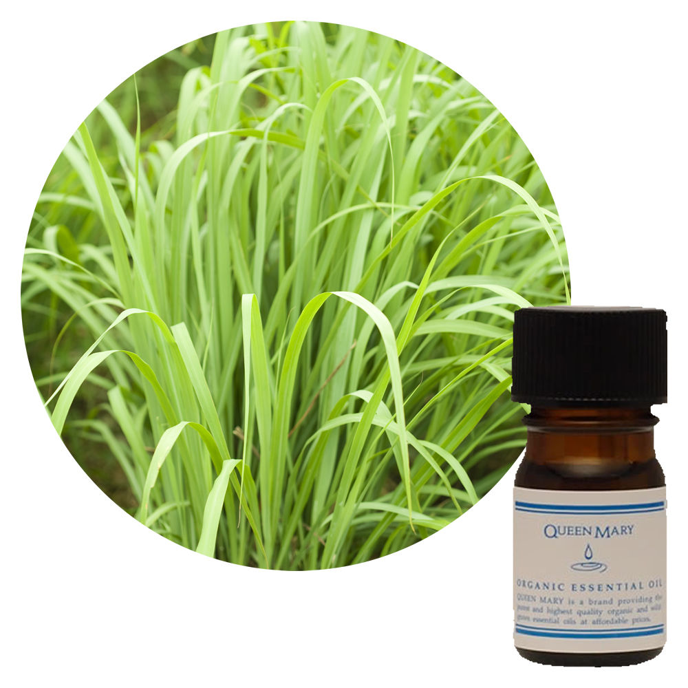 クイーンメリー】レモングラス｜エッセンシャルオイル（精油・アロマ