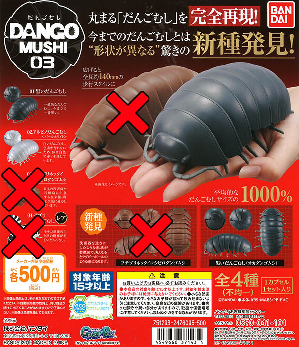 だんごむし03 フチゾリネッタイコシビロダンゴムシ編 2種セット