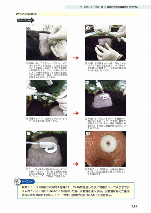 ここまでできる内視鏡 所見の読み方と鑑別診断 DVD付き | 臨床獣医学