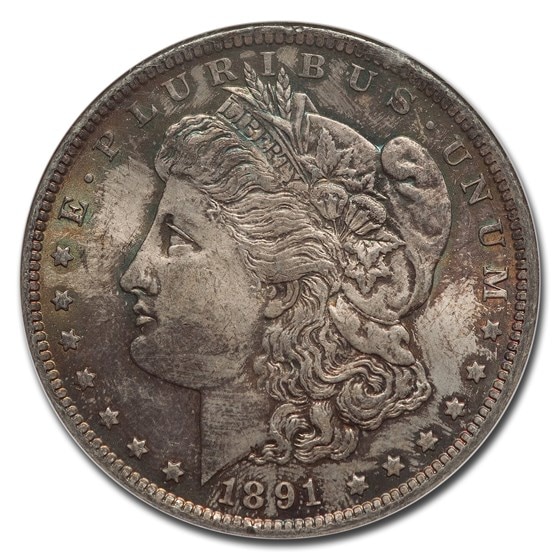 1891年 モルガンダラー 銀貨 1ドル シルバー コイン モルガン ヘッド