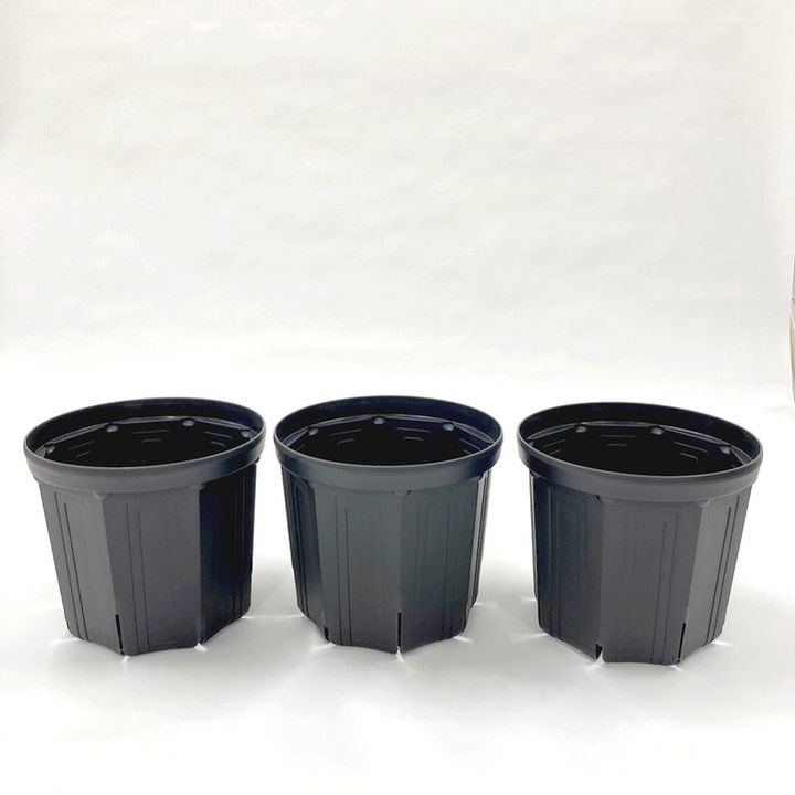 根詰まりしにくい！スリット鉢 8号 3鉢セット（ブラック）｜資材10-TU