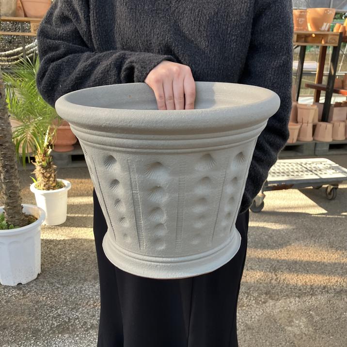 テラコッタ鉢 ウィッチフォード Whichford Cockleshell Pot Ash 130Fxa