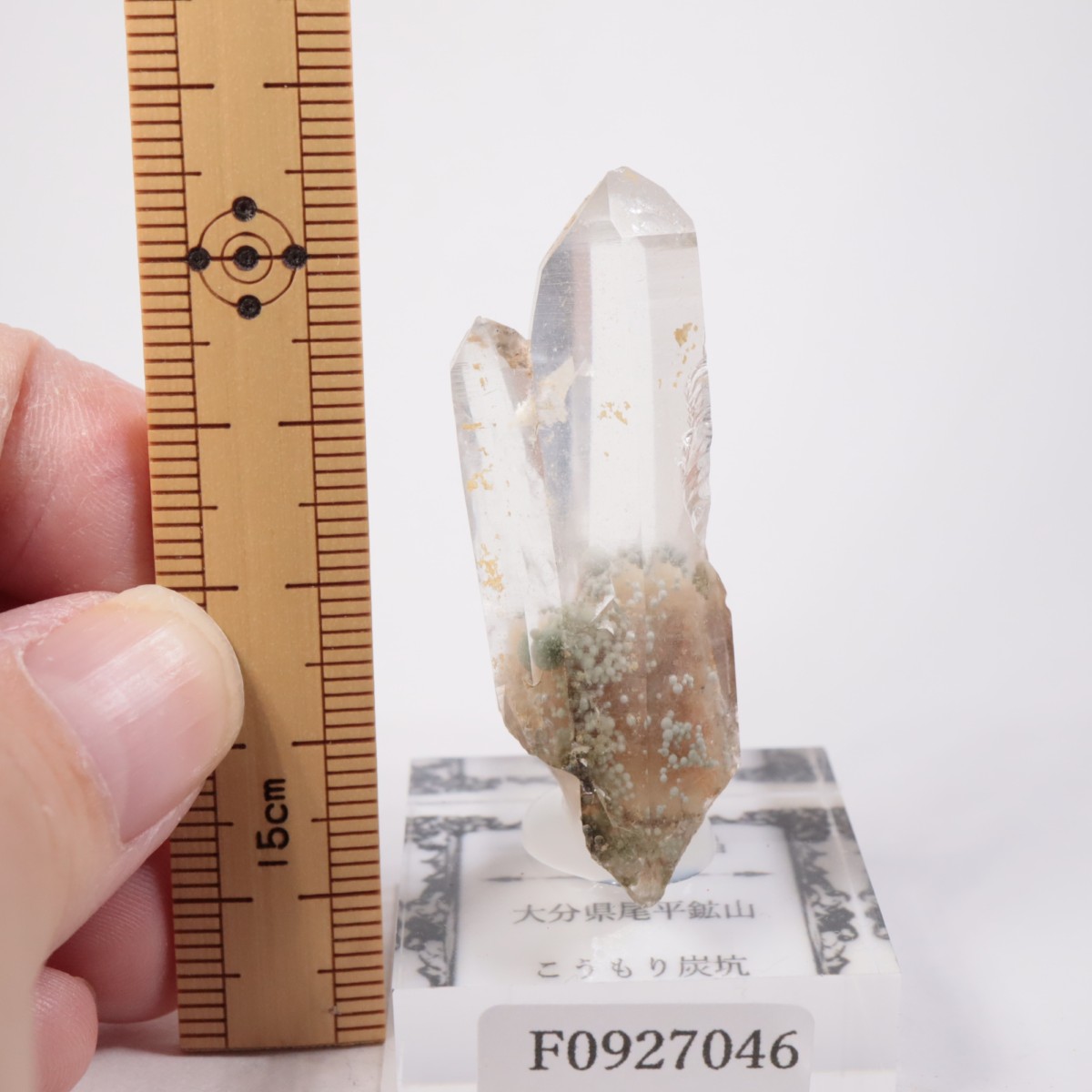 大分県尾平鉱山 まりも水晶 | 鉱物標本,カ行,クォーツ/水晶 | ほたるみ