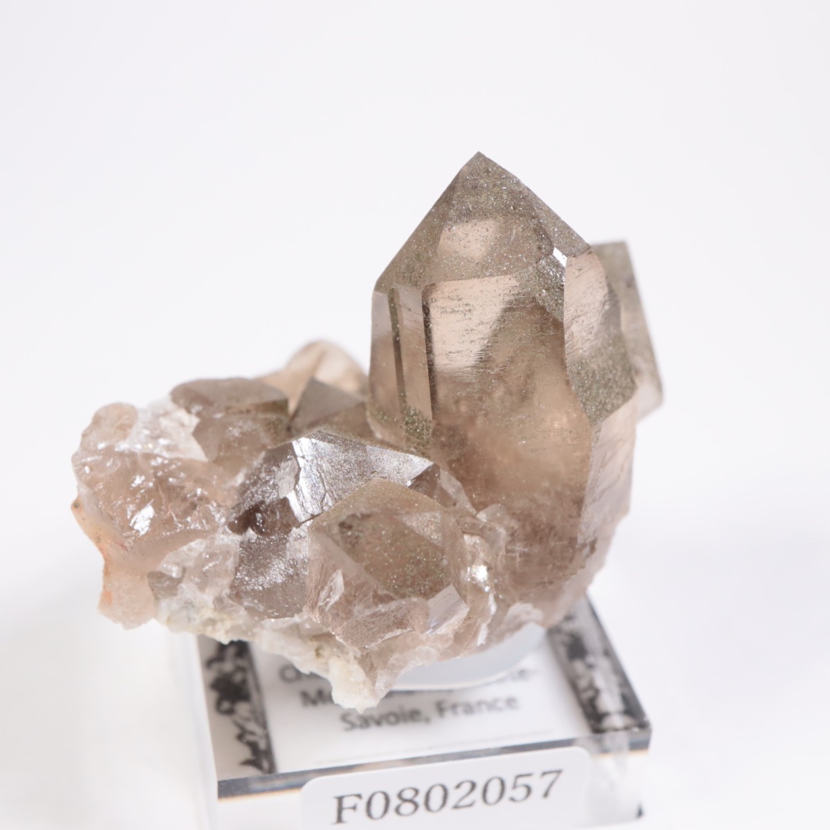 フランス産 スモーキークォーツ | 鉱物標本,サ行,スモーキークォーツ