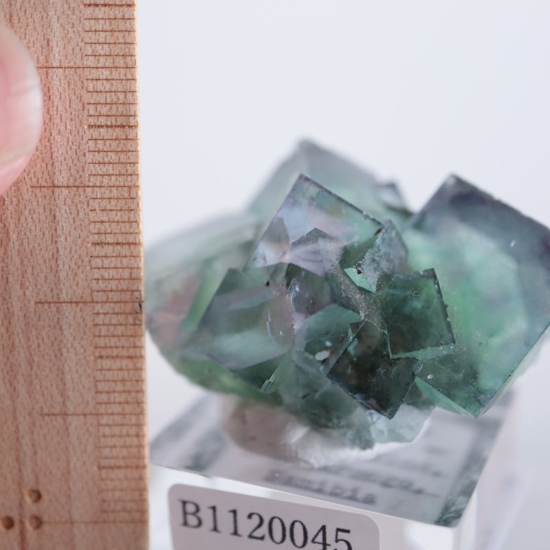 オコルス鉱山産 フローライト | 鉱物標本,ハ行,フローライト/蛍石