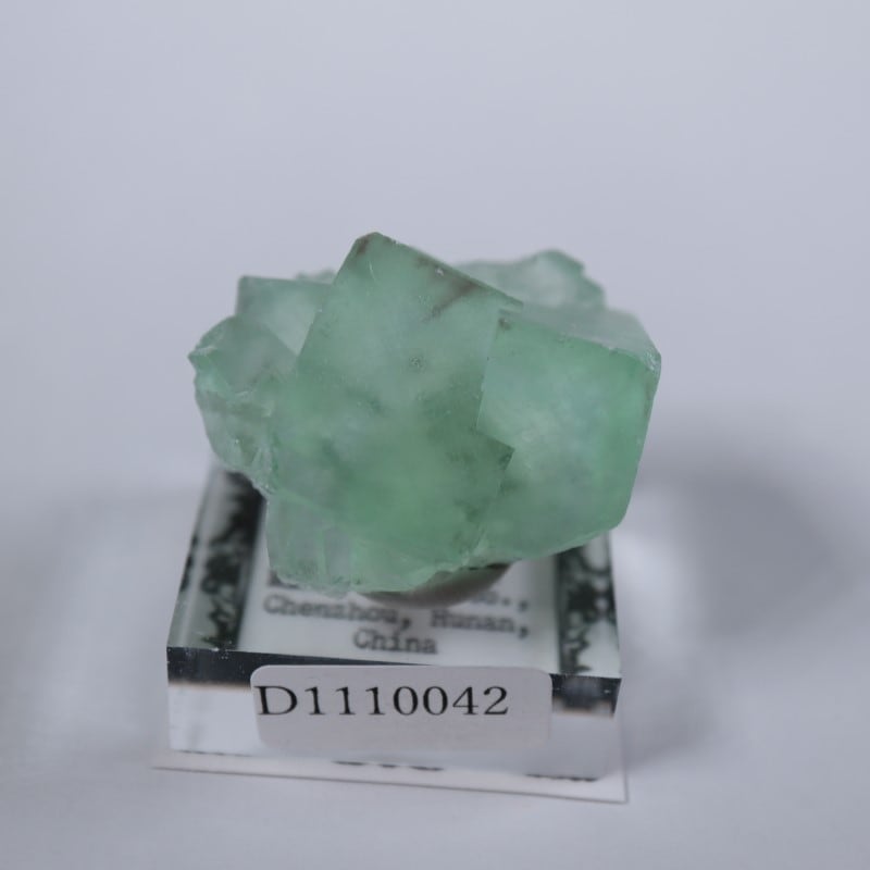 シャンファーリン産 蛍石 | 鉱物標本,ハ行,フローライト/蛍石,フロー