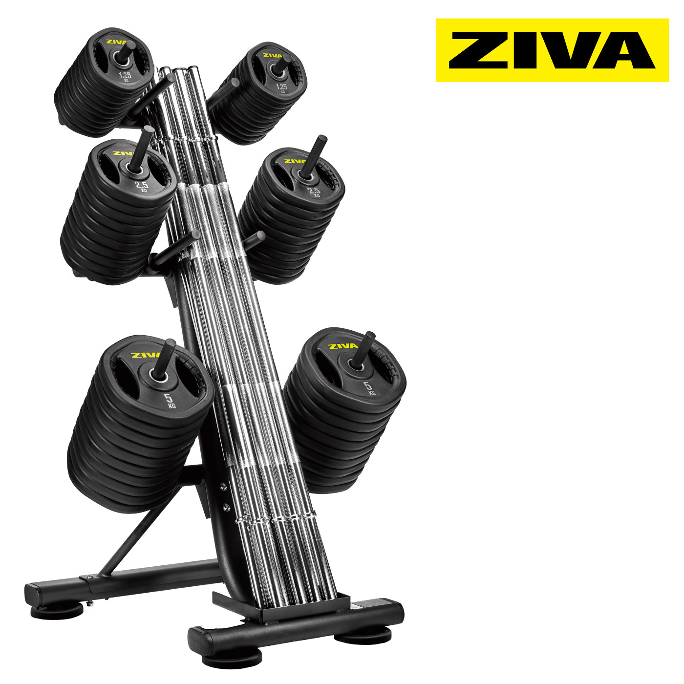 ST スタジオバーベルラック（10セット収納）｜業務用スタジオバーベル