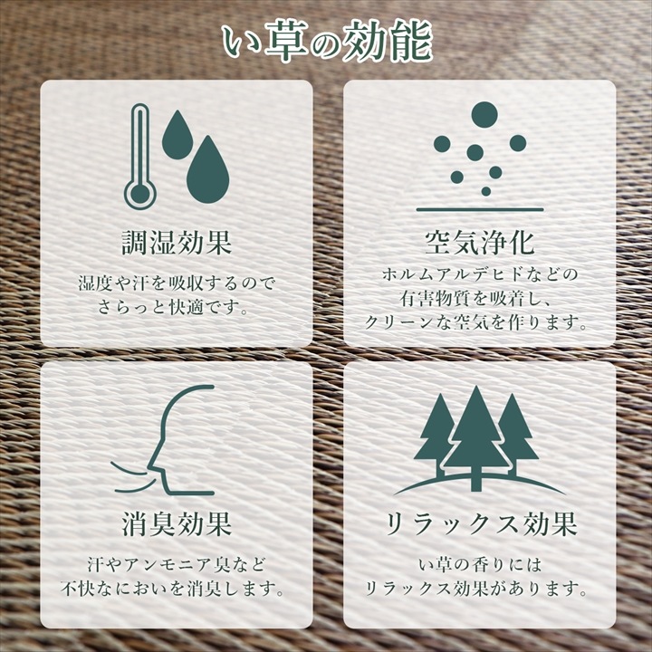 い草 ごろ寝マット ノアらくらく 国産 抗菌防臭 消臭 お昼寝マット