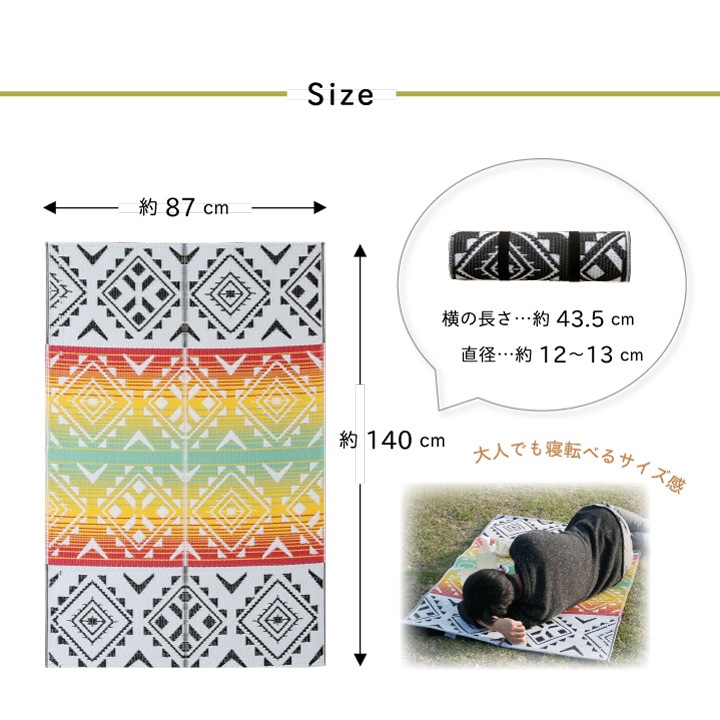 日本製 洗える レジャー シート アウトドア PP ポリプロピレン