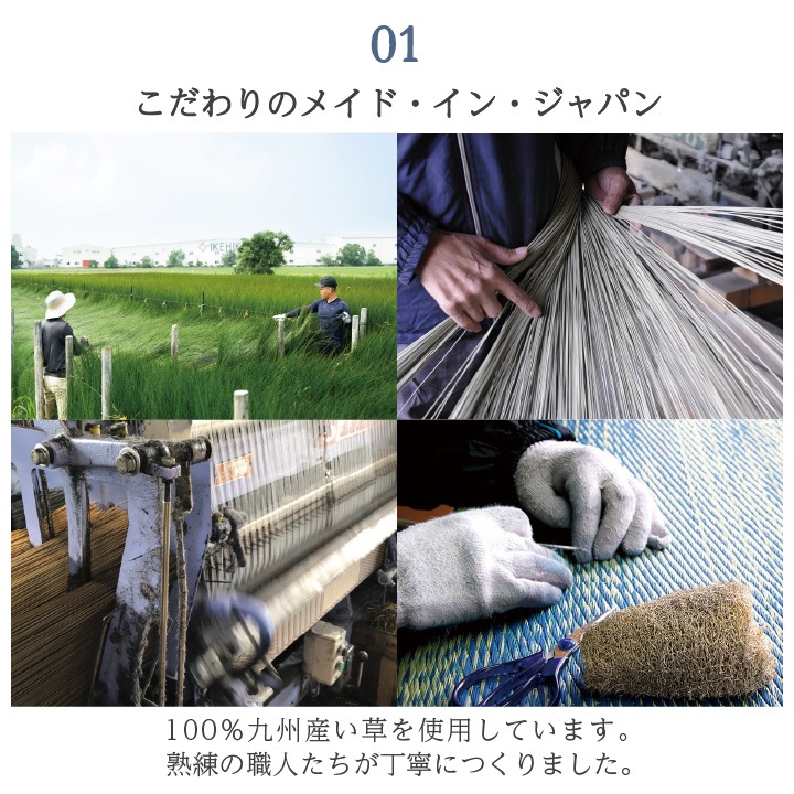 20日間返品無料】国産 い草ラグ DXラルフ D.STYLE イケヒコ×カイハラ