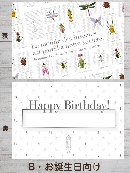 文字入れ可】選べるメッセージカード・バースデーカード Insect Garden