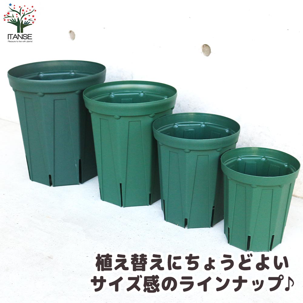 スリット鉢 ロングサイズ 5号＆6号＆7号＆8号 各1個セット【資材