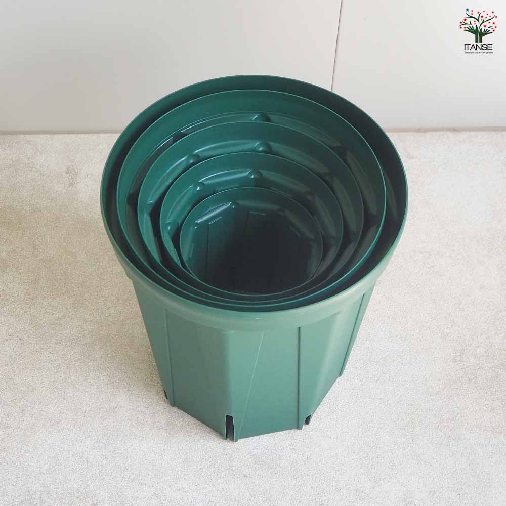 スリット鉢 4～8号ロングセット 【プラ鉢 5種類／各1個】｜ 【植物の