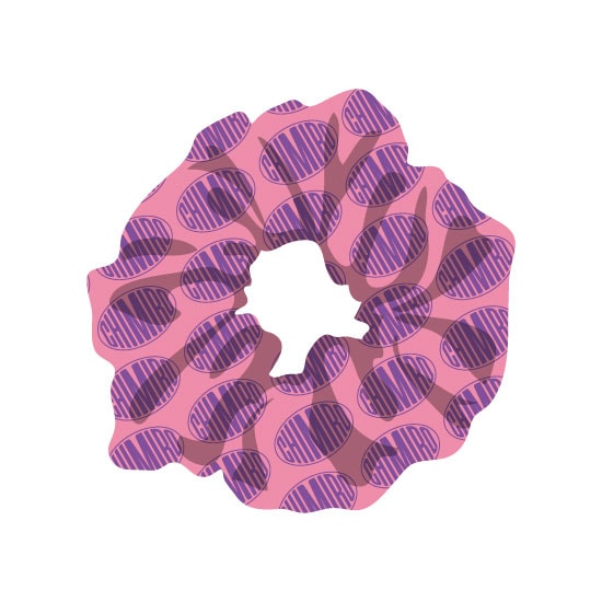 4月入荷予定】シュシュ（ピンク） 2026 THE CHIMIRO IN JAPAN | 2026