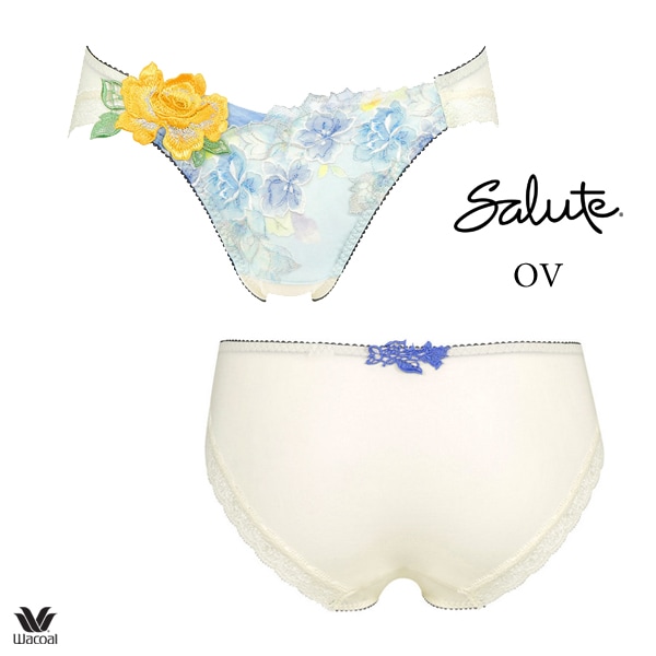 ワコール サルート 06G ショーツ PTJ706 LL ハイレッグ ノーマルタイプ