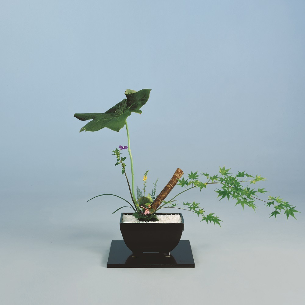 FRP製】砂鉢花器 青翠(せいすい)茶 | 花器・花瓶 | フラワーショップ花楽