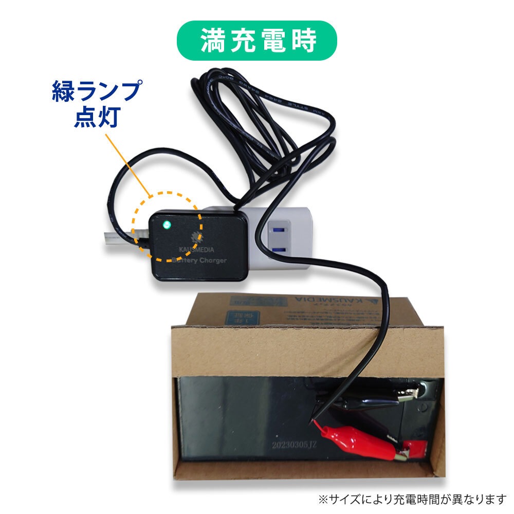 KAUSMEDIA クリスタルパルサー バッテリー寿命延命装置 1A バッテリー