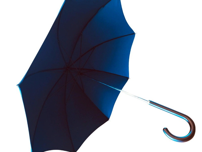 Umbrella｜Brace of Kentishman公式通販