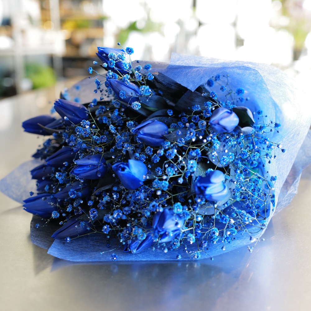 4_000000000443.jpg?1679449834