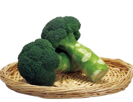 ブロリード ブロッコリー種子 緑竜（りょくりゅう）【取り寄せ注文