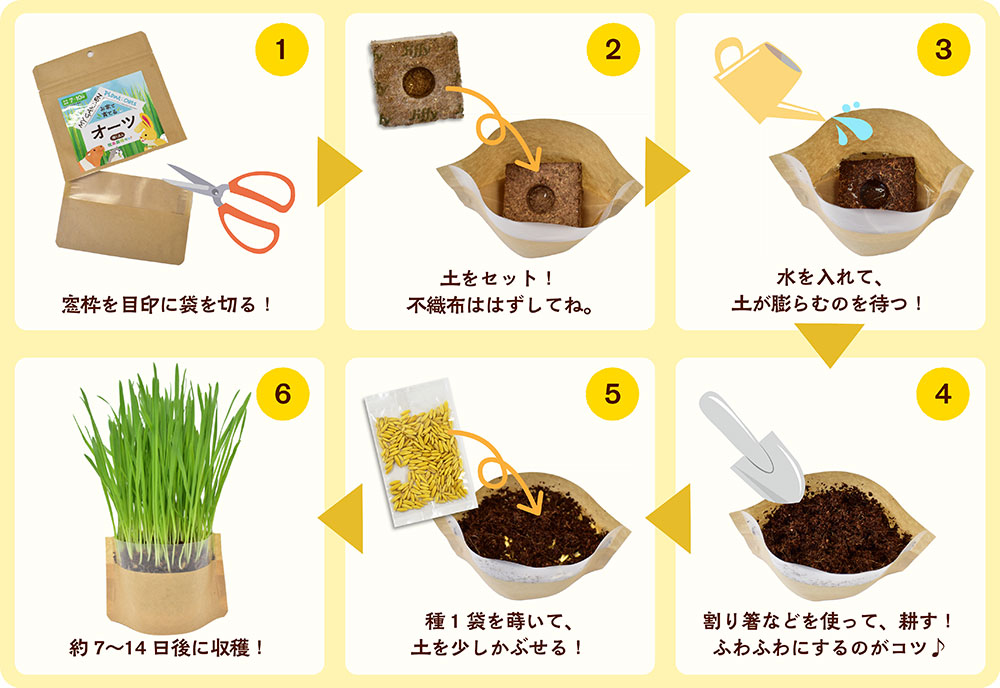 マイガーデン 牧草栽培セット イタリアンライグラスの通販はココロのおうち