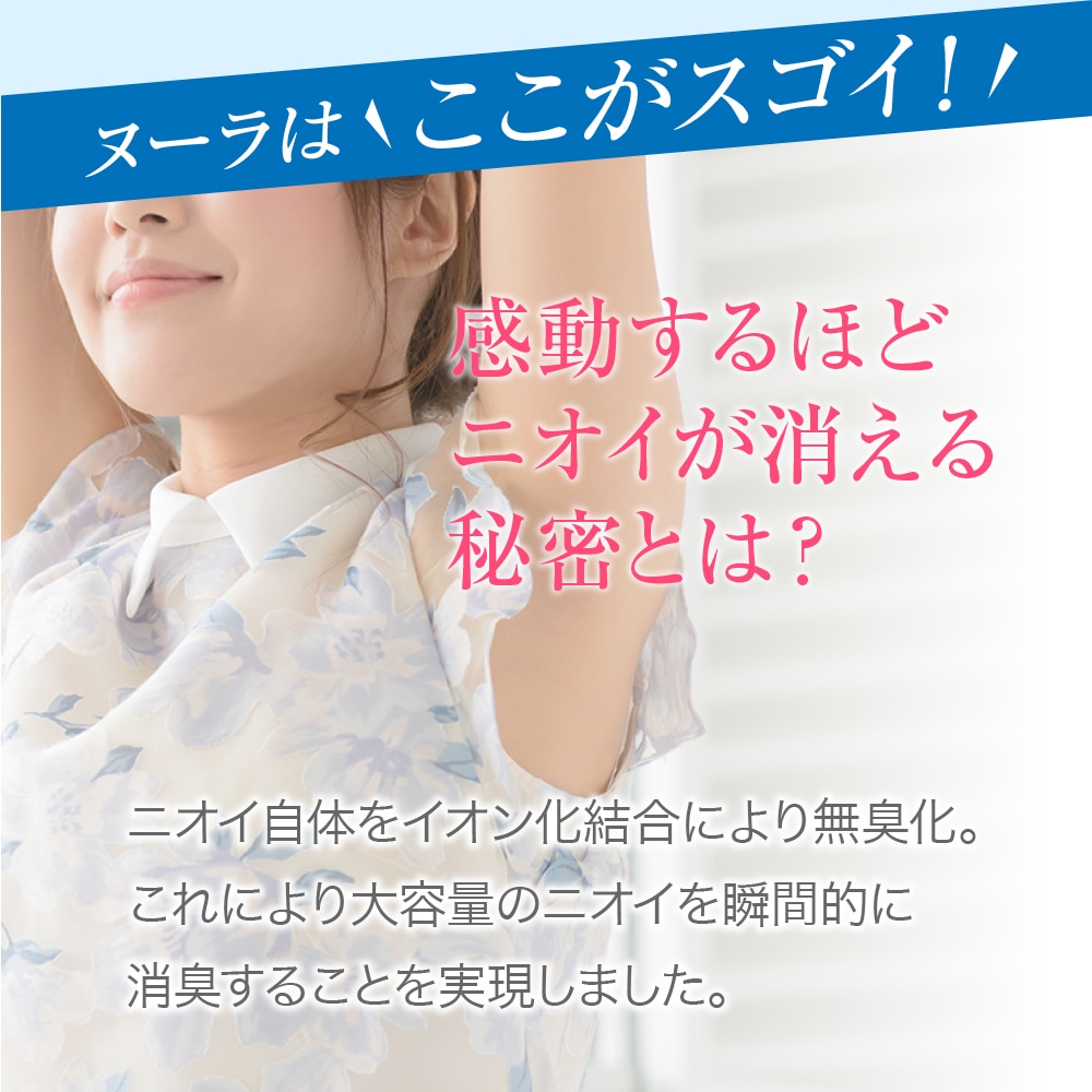 定期購入】急速イオン消臭ヌーラ（詰替パック）送料無料・お届け日設定