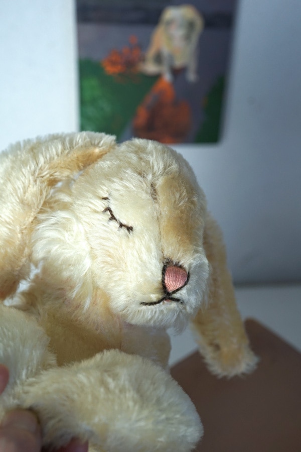 シュタイフのお眠りうさぎ28cm 1960年代 gt-1085の通販｜こよなく