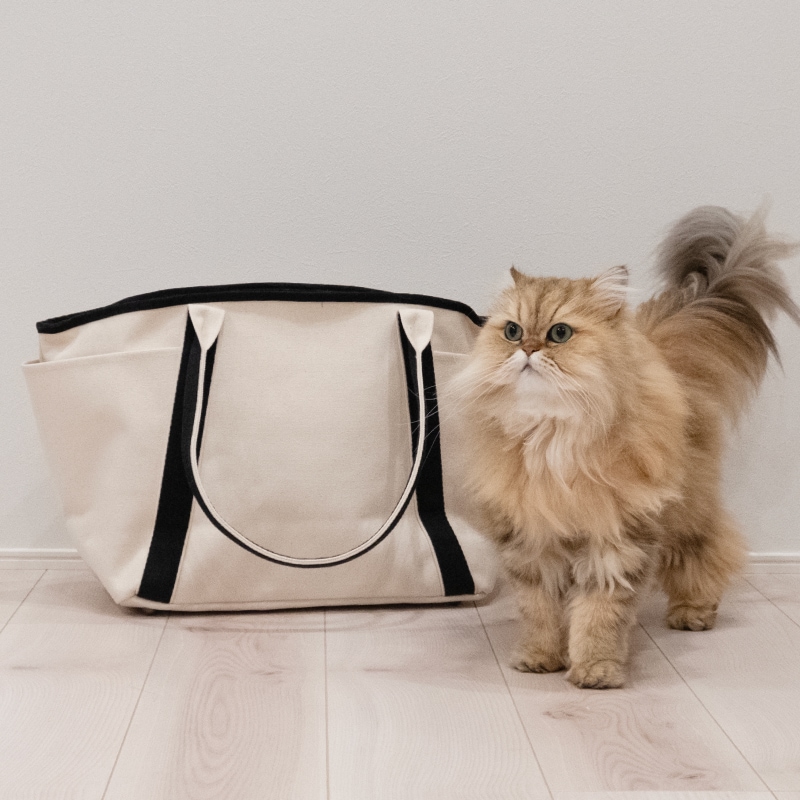 ワンチャン猫ちゃん用キャリーバック ＜トートタイプ＞ | ペット